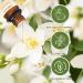 Sandalwood Jasmine Essential Oil Set - 2 x 10 ml for Diffusers Aromatherapy Soap & Candle Making | Sedbuwza - Buy Online on GoSupps.com