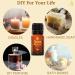 100% Pure Ceylon Cinnamon Leaf Essential Oil - Therapeutic Grade Undiluted Aromatherapy Oil for Diffusers & Food - 10ml - Buy Online on GoSupps.com