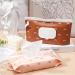 Sannix Reusable Baby Wet Wipes Bag for On-the-Go - 2 Box Holder Brown Bohemian Design | Eco-Friendly & Portable - Buy Online on GoSupps.com