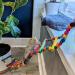 Colorful 27.6 inch Bird Ladder Swing Bridge for Parrot Cage - 12 Steps - Buy Online on GoSupps.com