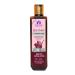 Blessfull Healing Organic Red Onion Natural Hair Conditioner 300 ml (Packing May Vary) 300 ml (Pack of 1)