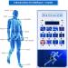 Buy Jingedd Extra Corporal Shock Wave Therapy Device for ED - Professional Shock Wave Physiotherapy Solution | International Shipping - Buy Online on GoSupps.com