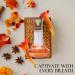 Beauty Love Women Perfume Long Lating Eau De Parfum Fresh And Trendy Natural Spray Fragrance For Effortless Chic 3.4 Fl Oz For Daily Used Beauty Love 3.4 Fl Oz (Pack of 2) - Buy Online on GoSupps.com