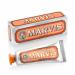 Marvis Toothpaste Ginger Mint 1 pack (1 x 25 ml) Ginger Mint 25 ml (1 pack)