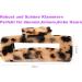 2 Piece Cutout Celluloid Hair Clips | French Design Hair Barrettes for Women | International Shipping - Buy Online on GoSupps.com