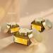 Buy Forest Essentials Soundarya Radiance Cream with 24K Gold - 50g | Luxury Skincare for Radiant Glow | International Shipping Available - Buy Online on GoSupps.com