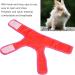 Soft Rabbit Harness with Lead for Rabbits & Guinea Pigs - Small Pet Harness & Lead Rope for Walking - Ideal for Rabbits, Kittens, Hamsters, Ferrets & Guinea Pigs - Buy Online on GoSupps.com