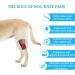 Dog Knee Brace for Back Leg Dog Elbow Brace Protector Pads for Support with Cruciate Ligament Injury Dysplasia Osteoarthritis Dog Leg Braces Adjustable Dog Rear Leg Braces (M) - Buy Online on GoSupps.com