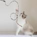 Molain Cat Bar Rainbow Toy - 5 Interactive Rainbow Wands for Kittens & Cats Training (30cm Leopard Pattern) - Engage Your Feline Friend! - Buy Online on GoSupps.com
