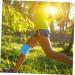 Shop Healeved 3 Rolls Sports Skin Membrane - Self-Adherent Cohesive Bandages & Athletic Tape for Optimal Support - Elastic and Convenient for All Sports - Buy Online on GoSupps.com