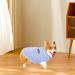 Fleece Dog Jumper Small Dog Hoodies Puppy Jumper Warm Dog Pullover Sweatshirt Cat Jumper Dog Sweater Vest Pet Winter Outfit Dog Clothes for Small Puppy Chihuahua Bichon Corgi Yorkshire (XL/Blue) XL/35cm Blue - Buy Online on GoSupps.com