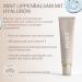 Buy Dr. Mintcheva Mint Lip Balm with Hyaluron & Vitamin E - Anti-Aging Protects Lips from Wrinkles & Environmental Damage - Ships Internationally - Buy Online on GoSupps.com