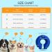 Nobleza Inflatable Dog Recovery Collar for Small Dogs and Cats - Blue, Adjustable 6-10inch (15-25.5cm) - Buy Online on GoSupps.com