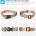 Heele Adjustable Bohemian Orange Dog Collar for Small & Medium Dogs - Comfort & Style (M: 34-53cm 2cm Width) - Buy Online on GoSupps.com