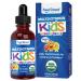 Feel Great Vitamins Organic Multivitamin Liquid Drops for Toddlers & Kids | Daily Essential Nutrients for Healthy Growth | No Iron Sugar-Free | USDA Organic Vegan Non-GMO Gluten-Free | 2 Fl Oz Kids Multivitamin Drops -