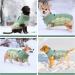 Kuoser Warmth Dog Coat - Windproof Reflective Jacket for Small & Large Dogs - Winter Outdoor Zipper Design - Green XS - Buy Online on GoSupps.com