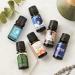 Ecodrop Immunity Essential Oil Blend - 10ml Bottle | Pure Therapeutic Grade Ravensara Tea Tree & Cedarwood Oils | Natural Antiviral Aromatherapy for Immune Defense - Buy Online on GoSupps.com