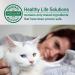 HYPONIC Premium No-Sting Hinoki Cypress Ear Cleaner 4.06 oz - Cat Ear Cleaning Solution for All Cats | Removes Odors - Buy Online on GoSupps.com