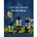 Herb Pharm Lemon Balm Calm Capsules: Calming Nervous System Support: Certified Organic Capsules with Lemon Balm Leaf Extract Melatonin Free Relaxing Supplement Vegan 30 Day Supply 60 Capsules* - Buy Online on GoSupps.com