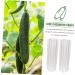 Yardwe 8 Pcs Vegetable Shaping Mold Fruit Vegetable Shaper Mold Garden Cucumber Mold Watermelon Suite - Buy Online on GoSupps.com