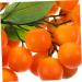 Ciieeo String Foam halloween fake fruit egg fruit branch decorations artificial fruit bunch crafts fruit flowerpot decorate puzzle skull fake fruit skewers Model fruit skewers Toy - Buy Online on GoSupps.com