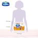 Royale Tiger Strong Paper Towel 6 Equal 12 Rolls 98 Sheets per Roll - Buy Online on GoSupps.com