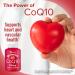 Qunol CoQ10 Gummies 100mg - Delicious Heart Health Support - 60 ct - Buy Online on GoSupps.com