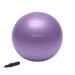 Gaiam Total Body Balance Ball Kit - Includes Anti-Burst Stability Exercise Yoga Ball, Air Pump, Workout Program Purple (55cm) Without Stretch Strap