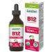 Certified Organic Vitamin B12 5000mcg Drops Methylcobalamin 50 Servings Land Art - Vegan - Sugar Free Maximum Absorption Made in Canada