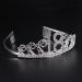 Frcolor 18th Birthday Crown Headband for Women | Crystal Silver Tiara with Combs | Perfect Gift for 18th Birthday Celebrations - Buy Online on GoSupps.com