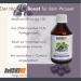 HCGC Original Basic Package - 30 Days Nutritional Supplements & 21-Day Metabolic Cure | Sugar-Free Speedboost Syrup (Black Currant) - Buy Online on GoSupps.com