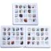 JSDDE Mineral Rock Variety Tumbled Rough Gemstone Meteorite Fragment Healing Energy Crystal Collection Box (20 pcs Rough Mini Stones Kit) - Buy Online on GoSupps.com