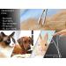 Professional Stainless Steel Ear Tweezers for Dogs - Hair Remover Tongs (14 cm) | International Shipping Available - Buy Online on GoSupps.com