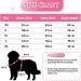 Cit toile Warm Winter Dog Sweater | Soft Knitted Turtleneck Pet Clothing | Color Gradient Pink for Small & Medium Dogs - Buy Online on GoSupps.com