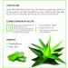 ArtNaturals Aloe Vera Gel 100% Pure Cold Pressed - 2 Pack x 12oz - Raw Natural Moisturizer for Skin, Hand, Face & Hair - Buy Online on GoSupps.com