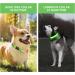 LED Light Up Dog Collar - USB Rechargeable, Waterproof, Adjustable - Green - M(38-50cm/15-19.7inch) - Buy Online on GoSupps.com