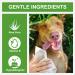 Vietdai Hypoallergenic Wet Wipes for Dogs & Cats - Deodorizing Cleaning Towels for Paws & Faces | 80 Pieces - Buy Online on GoSupps.com