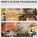 Beard Grooming Kit for Men | Complete Beard Care Set with Shampoo Oil & Balm | Perfect Gift for Him Dad Boyfriend Husband - Buy Online on GoSupps.com