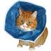 Krutex Buster Soft Collars Cats And Small Dogs 10 Pack 285 G - Buy Online on GoSupps.com