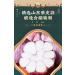 LABA Garlic Jade Garlic Fresh Green Garlic Pickled Vegetable Pickled with Vinegar Pickled Garlic Sweet and Sour Garlic Hot and Sour Garlic (Small 250g 1 Bag) Small 250g 1 bag - Buy Online on GoSupps.com