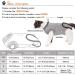DogLemi Cat Recovery Suit | Professional After Surgery Wear for Abdominal Wounds, Skin Diseases | Soft Comfort | Cone Alternative for Small Medium Cats and Kittens - Buy Online on GoSupps.com