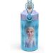 Disney Frozen 2 Kids Water Bottle Set with Reusable Straws - Elsa & Anna Design 16 oz BPA-Free - Leak-Proof, 2pc Set with Carrying Loops - Perfect for Kids - Zak Designs - Buy Online on GoSupps.com