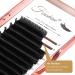 Fenshine 0.07 D Curl Volume Lashes Extensions - Soft Easy Fan Self Fanning Lashes - Automatic Blooming Lashes - 8-15mm Length - Buy Online on GoSupps.com