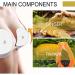 FOLENZU Browsluv Breast Enhancement Patch - 10pcs | Breast Enhancement Mask - Buy Online on GoSupps.com