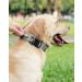 Joytale Tactical Dog Collar for Large Dogs | Durable Gray Dog Collar with Handle & QR Code Dog Tag | Ideal for Active Pets - Buy Online on GoSupps.com