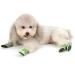 Zunea Paw Protection Dog Boots - Summer Slide-Resistant Shoes for Small Dogs | Adjustable Reflective Soft Mesh | Heat-Resistant for Hot Streets (L 4-Pack Green) - Buy Online on GoSupps.com