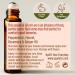 Gya Labs Digestion Relief Essential Oil Roll On (10ml) - Fresh Earthy Scent | Natural Digestive Aid Roll-On - Buy Online on GoSupps.com