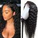 Hermosa HD Transparent Glueless Wigs Human Hair Pre Plucked with Baby Hair 180 Density 4x4 Deep Wave Wear and Go Lace Front Human Hair Wigs for Black Women 22 Inch (Pack of 1) Black