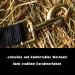 Horse Halter for Warmblood Thoroughbred & Cold Blood Adjustable & Tear-Resistant Black Pony Halter with Pasture Handle - Buy Online on GoSupps.com