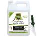 Natural Armor Lizard & Gecko Repellent Spray - Powerful Peppermint Formulation Repels All Types of Lizards & Geckos and Works Better Than Ultrasonic Gimmicks  128 fl oz - Gallon Ready to Use 128 Fl Oz (Pack of 1)